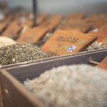 The Healing Ways - 15 Junio-281