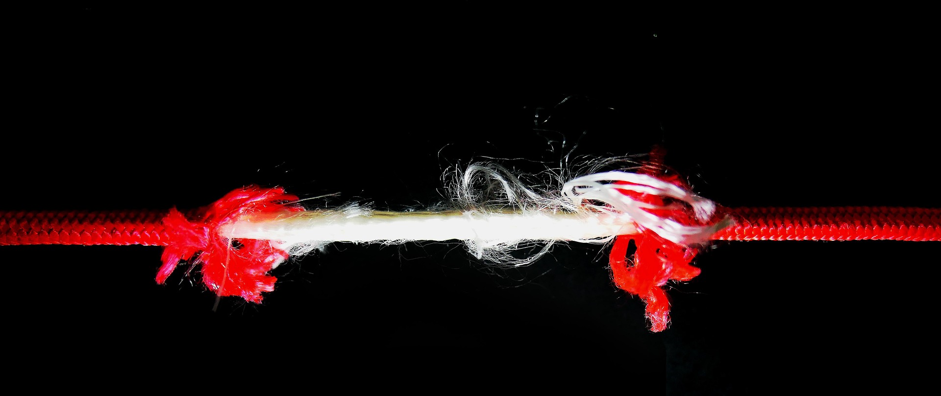 La Primavera e il Sistema Tendino Muscolare